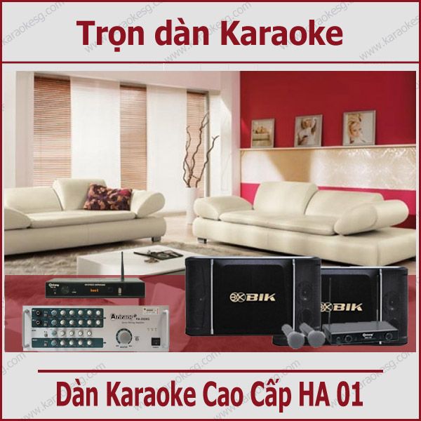 Dàn Karaoke cao cấp  15