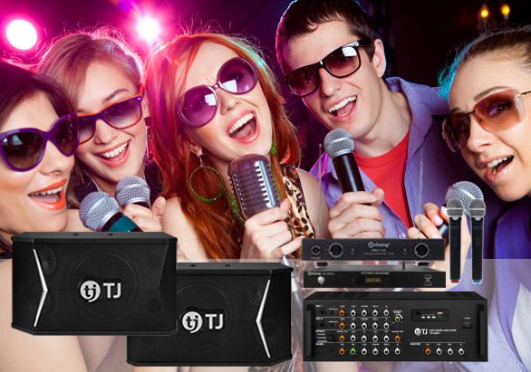 Dàn Karaoke cao cấp VG 5V