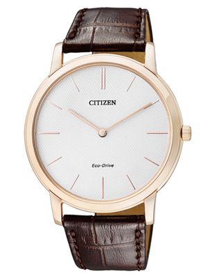 ĐỒNG HỒ CITIZEN AR1113-12A