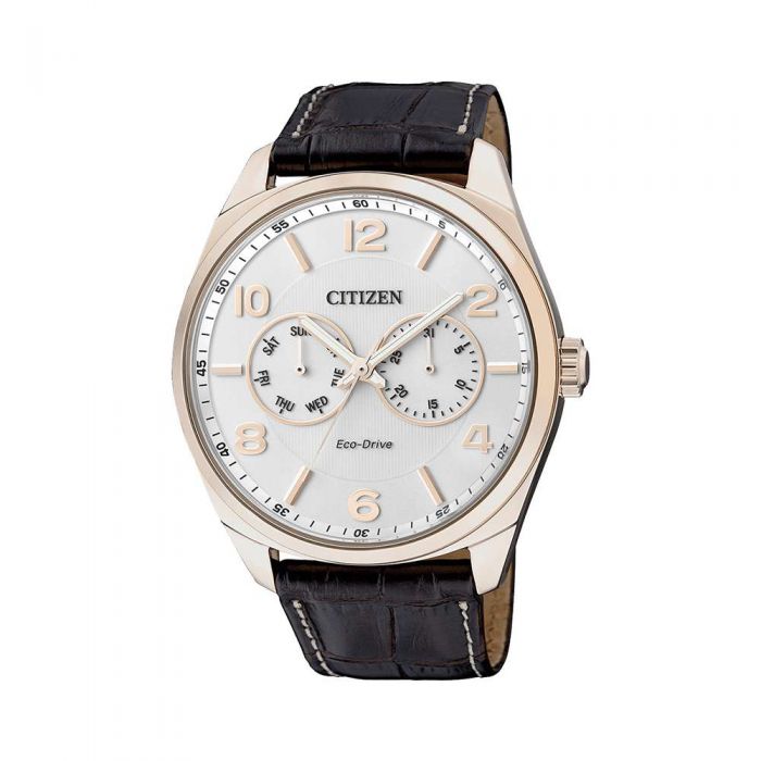 Đồng Hồ Citizen AO9024-08A Nam Dây Da Eco-Drive Lịch Thứ 42mm