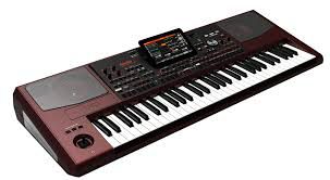 Organ Korg Pa1000 