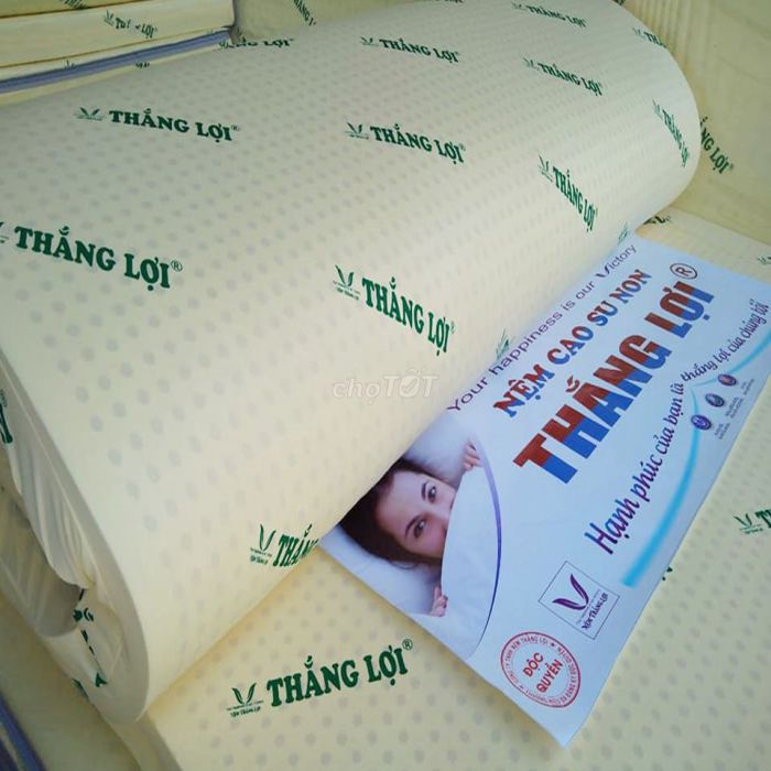 Nệm Cao su non thắng lợi 1m6x2mx20cm