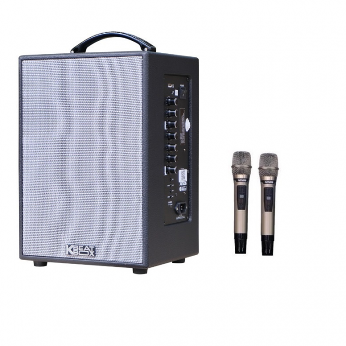 LOA ACNOS CS141 CÔNG SUẤT 300W 