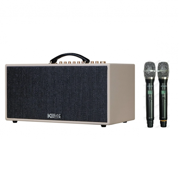  LOA  ACNOS CS447 CÔNG SUẤT 500W 
