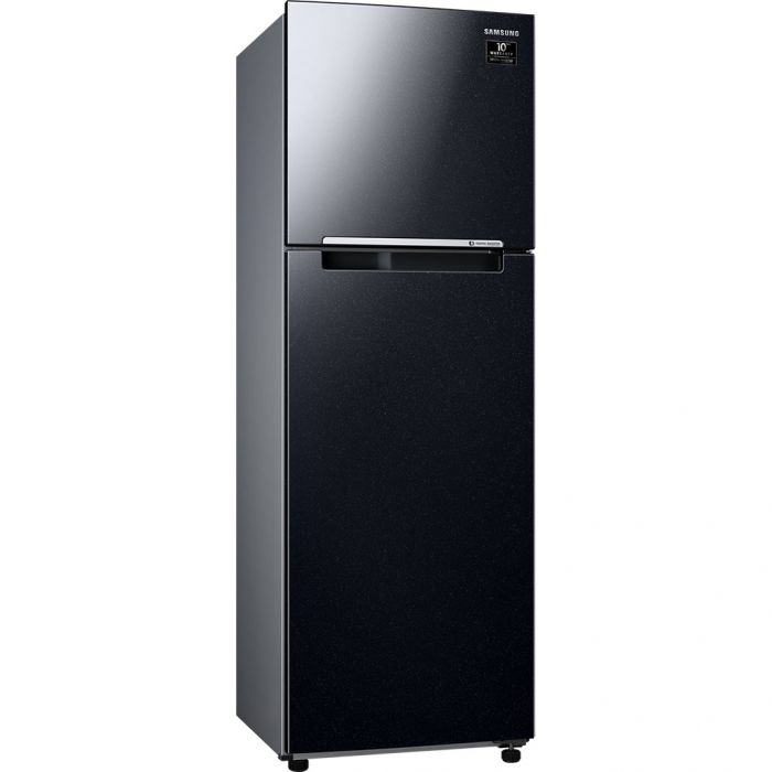 Tủ lạnh Samsung Inverter 256 lít RT25M4032BU/SV