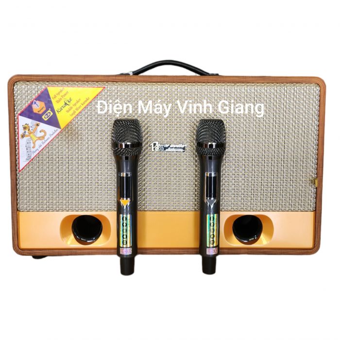 Dàn âm thanh di động PA 808 Công suất lớn 1.000W