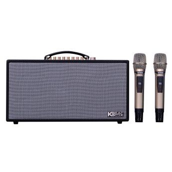 Loa karaoke di động Acnos CS450