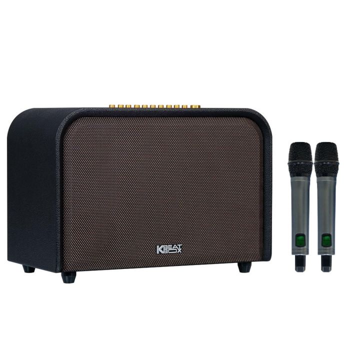 LOA ACNOS ACOUSTIC 3