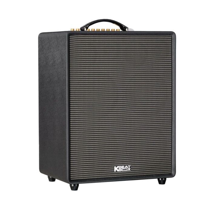 LOA ACNOS CS552Plus