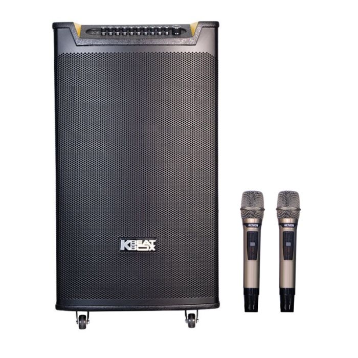 LOA ACNOS TOP 430 4TẤC 