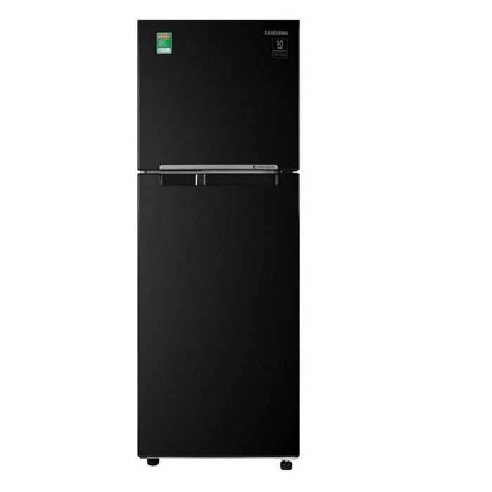 Tủ lạnh Samsung Inverter 236 lít RT22M4032BY/SV