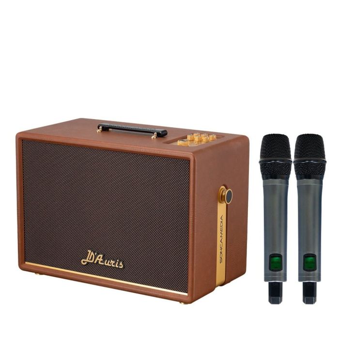 Loa Acnos D’Auris 300 Loa Di Động Đột Phá Thế Hệ Mới 2026 – Bass 25cm 